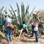 alle sind gespannt wie es schmecken wird