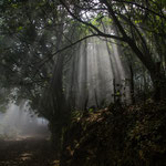 ....zwischen durch hatten wir viel Nebel - aber auch schön.