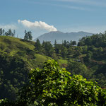 Auch auf dieser Tour begleitete mich der Vulkan Turrialba ein großes Stück....