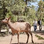 ....die beiden dahinten geören nicht dazu!!