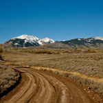Oben: alpine Vegetation und tolle Berggipfel