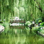 ....und daneben verwunschene Oasen voller Stille....