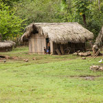 ....auch hier wird neugierig gespäht....