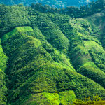 ....ein Mosaik aus Urwald und Maisfeldern.....