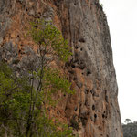 Diese Bilder brauchen keine Erklärung