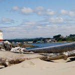 "Leuchtturm Coquille River"
