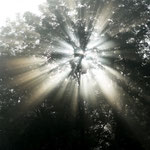 .....und bei Sonnenaufgang......