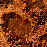 Tollste Strukturen durch Bakterien geschaffen