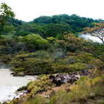 ....die an vielen Stellen zu Tage tritt.....