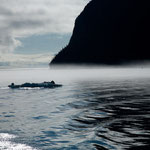 Eine der schönste Schiffsfahrten die wir je gemacht haben...