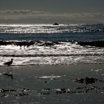 Der Pazifik bei Carpinteria