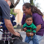 Bills Hund Milo ist sehr beliebt