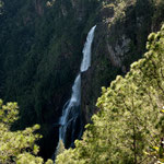 ....diese höchsten Wasserfalle von Belize sind in der Regenzeit am schönsten....