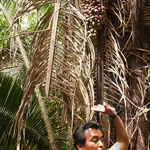 Unser toller "guide" hat auch die Pflanzenwelt erklärt - und ihre Verwendung