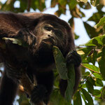 ....lässt uns aber nicht aus den Augen.....