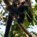 .....und zeigt uns ganz deutlich dass es ihm schmeckt.....