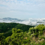 Hier am frühen Morgen auf 2.000 m Höhe