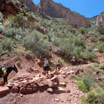 .... manche machen sich es leicht ....