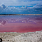 ....warum diese Lagune so rot ist konnten wir nicht erfahren.....