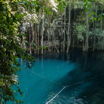 tolles blaues Wasser und unzählige Luftwurzeln von oben.....