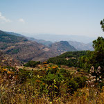 ....kletterte bis auf 2.900 m Höhe...