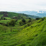....überall das charakteristische satte Grün dieses Landes.....