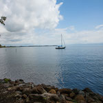 ....wir bekamen Besuch von Seglern....