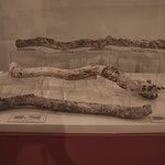 ....hier Yucca, Bohnen, Chilisamen und Kakao - alles erhalten wie von gestern