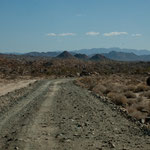 ......sieht viel besser aus als sie ist - uns hat unser "baby" wirklich leid getan