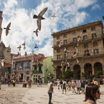 ....und Touristen kämpfen mit den Tauben um die besten Plätze....