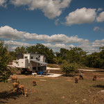 ....unser Stellplatz dekoriert mit Schafen....
