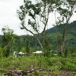 .....aber nur die äußere Hülle......