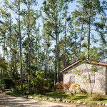 ....Kiefern wie in Norddeutschland