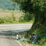 Das ist die beste Stelle für ein ruhiges Picknick