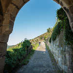 Direkt von der Innenstadt kann man in die Weinberge spazieren....
