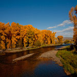 Traumhafter Indian Summer am noch kleinen Fluss