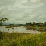 ....Brackseen direkt vor der Küste - Freude der Moskitos und Kühe....