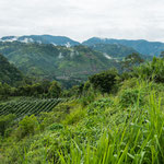 Landschaft auf unserem Weg zum Vulkan Irazu.....