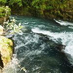 ....links die Quelle - es schießt unglaublich viel Wasser aus dem Boden...