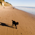 Santa Barbara Beach mit Oskar