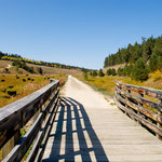 Die Strecke ist sehr kurzweilig