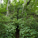 Diese Pyramide (Gräber) haben Diebe geplündert