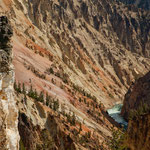 ....und leuchtet in allen Braun- und Gelbtönen.