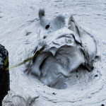 .....sind bizarr und gefährlich.....