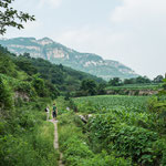 ....der Wanderpfad wurde immer enger und kleiner.....