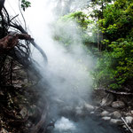 ....und das Wasser kommt hier mit über 100°C aus der Erde....