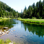der "Truckee River" - der einzige Abfluss des "Lake Tahoe"