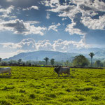 Eine Landschaft wie am Bodensee.....