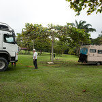 ....ob wir das wohl schaffen - auf der durchnässten Wiese.....