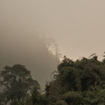 ,,,,die Abendstimmung....